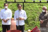 Presiden: Penyatuan tanah dan air di IKN Nusantara bentuk kebinekaan