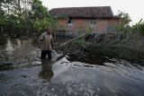 Warga berjalan di halaman rumahnya yang terendam banjir sejak setahun terakhir di Pasir Panjang, Danau Teluk, Jambi, Senin (14/3/2022). Sejumlah rumah dan beberapa hektare lahan perkebunan warga terendam akibat pembangunan kanal milik pribadi yang menutupi jalur air permukiman warga di daerah itu, bahkan satu hamparan kebun percontohan milik Balai Penyuluhan Pertanian (BPP) Dinas Pertanian dan Ketahanan Pangan kota itu tidak bisa ditanami dalam setahun terakhir. ANTARA FOTO/Wahdi Septiawan/rwa.