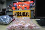 Polisi menunjukkan tersangka dan barang bukti saat rilis kasus korupsi dana Penanganan COVID-19 di Mapolres Indramayu, Jawa Barat, Selasa (15/3/2022). Satuan Reserse Kriminal Polres Indramayu berhasil mengungkap tindak pidana korupsi dana penanganan COVID-19 tahun anggaran 2020 yang melibatkan dua orang mantan pejabat Badan Penanggulangan Bencana Daerah (BPBD) Kabupaten Indramayu dan dua orang dari pihak swasta dengan kerugian negara mencapai Rp4,6 miliar. ANTARA FOTO/Dedhez Anggara/agr