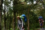 Pendaki  Gunung Lawu melintas di jalur pendakian Cemoro Sewu, Magetan, Jawa Timur, Sabtu (19/3/2022). Setelah beberapa kali ditutup selama masa pendemi COVID-19, jalur pendakian tersebut mulai ramai dilewati sejumlah pendaki dari berbagai daerah untuk menuju puncak gunung berketinggian 3.265 meter di atas permukaan laut yang berada di perbatasan wilayah Jawa Tengah dan Jawa Timur tersebut. Antara Jatim/Siswowidodo/zk