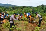 Sejumlah orang menanam bibit pohon di Kare, Kabupaten Madiun, Jawa Timur, Kamis (24/3/2022). Kegiatan menanam delapan ribu bibit pohon terdiri durian, alpukat aligator, jeruk dan sengon yang diikuti ratusan orang dari prajurit TNI, Polri, Brimob, BPBD, Aparatur Sipil Negara, Perum Jasa Tirta, relawan dan masyarakat tersebut dalam rangka peringatan Hari Air Sedunia guna mitigasi bencana berbasis vegetasi. Antara Jatim/Siswowidodo/zk