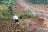 Akibat hujan deras, lima hektare sawah di Sukabumi tertimbun longsor