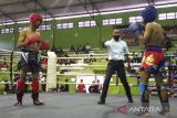 Kejuaraan kick boxing tingkat Jateng di Temanggung diikuti 220 atlet