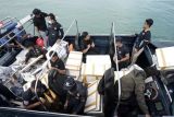 Petugas gagalkan penyelundupan 6.000 benih lobster ke Singapura