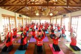  Peserta melakukan gerakan yoga pada festival bertajuk 'Yoga Ring Banyuwangi' di Perkebunan Kalibendo, Banyuwangi, Jawa Timur, Minggu (27/3/2022). Festival yang digelar oleh Perkumpulan Praktisi Yoga Nasional Indonesia (PPYNI) Banyuwangi itu selain sebagai upaya mengenalkan olahraga yoga ke masyarakat luas juga bertujuan untuk menghilangkan stres bagi peserta yang lelah setelah melakukan aktivitas sehari-hari. Antara Jatim/Budi Candra Setya/zk