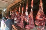 Pengunjung berbelanja daging sapi di pasar induk Lambaro, Kabupaten Aceh Besar, Aceh, Senin (28/3/2022). Para pedagang di pasar tradisional itu menyatakan, harga daging sapi menjelang bulan Ramadhan 1443 Hijriah  mengalami kenaikan dari Rp140.000 menjadi Rp150.000 per kilogram. ANTARA FOTO/Ampelsa