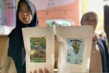 Milenial Maros kembangkan daun paku jadi produk bernilai ekonomis