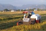 Petani Sulsel berharap harga pembelian Bulog dapat bersaing