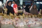 Pengunjung berbelanja ayam potong di Pasar Al Mahirah, Desa Lamdingin, Banda Aceh, Aceh, Jumat (1/4/2022). Permintaan ayam potong menyambut  perayaan tradisi meugang bulan Ramadhan 1443 H  di daerah itu meningkat dengan harga penjualan naik dari Rp50.000 per ekor menjadi Rp55.000 per ekor. ANTARA FOTO/Ampelsa