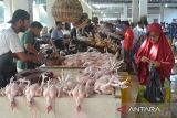 Pengunjung berbelanja ayam potong di Pasar Al Mahirah, Desa Lamdingin, Banda Aceh, Aceh, Jumat (1/4/2022). Permintaan ayam potong menyambut  perayaan tradisi meugang bulan Ramadhan 1443 H  di daerah itu meningkat dengan harga penjualan naik dari Rp50.000 per ekor menjadi Rp55.000 per ekor. ANTARA FOTO/Ampelsa