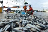  Blantik menunggu pasokan ikan dari nelayan di Pelabuhan Ikan Muncar, Banyuwangi, Jawa Timur, Rabu (6/4/2022). Berdasarkan data Himpunan Nelayan Seluruh Indonesia (HNSI) DPC Banyuwangi bhawa sejak bulan Februari  hasil tangkapan nelayan muncar meningkat dibandingkan dengan periode yang sama di tahun sebelumnya. Antara jatim/Budi Candra Setya/zk