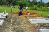 Petugas penggali makam tampak bergotong royong mempersiapkan makam mantan Gubernur Babel pertama, Hudarni Rani. (ANTARA FOTO/ Meryanti)