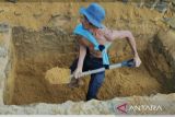 Salah satu petugas penggali makam saat menggali makam di taman PAWITRALAYA. (ANTARA FOTO/ Meryanti)