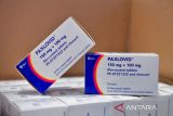 Kasus COVID-19 naik, Taiwan pesan 700.000 pil antivirus Pfizer