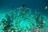 Vacationing at Gili Trawangan 