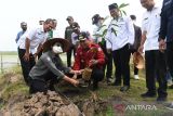 Kabupaten Banyuasin buat demplot budi daya ikan dan mina padi gandeng peneliti Icraf