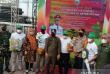 Gubernur Sulsel salurkan benih padi gratis untuk 2.675 kelompok tani