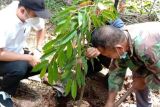 Warga terdampak tanam bibit durian dan alpukat di sabuk hijau Bendungan Bener