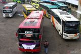 Seorang kondektur bus bersiap menaiki bus di jalur Antar Kota Dalam Provinsi (AKDP) di Terminal Arjosari, Malang, Jawa Timur, Selasa (26/4/2022). Unit Pengelola Teknis (UPT) Terminal Arjosari mencatat sejak dua hari terakhir jumlah penumpang yang berangkat dari terminal bus tersebut sudah mulai mengalami peningkatan yakni dari 1.720 orang per hari menjadi 2.335 orang per hari atau meningkat sekitar 35 persen. Antara Jatim/Ari Bowo Sucipto/zk