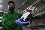 Stok darah PMI hari ini di Bandung, bagaimana cara mendapatkannya?