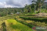 Tiga Desa Wisata di Buleleng siap sambut delegasi G20