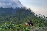 Dishub Kulon Progo imbau wisatawan mewaspadai tanjakan Bibis Girimulyo