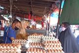 Harga telur ayam ras dan cabai bergerak naik di Makassar