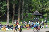 Sejumlah pengunjung berwisata di Kebun Raya Bogor, Jawa Barat, Kamis (5/5/2022). Destinasi wisata favorit Kebun Raya Bogor telah dikunjungi sebanyak 20 ribu pengunjung selama libur Hari Raya Idul Fitri 1443 H dan jumlah tersebut meningkat dibandingkan tahun sebelumnya yang hanya mencapai empat ribu pengunjung. ANTARA FOTO/Arif Firmansyah/nz