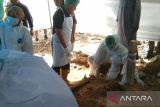 Autopsi jenazah Amis dilakukan dokter forensik independen dari UHO Kendari