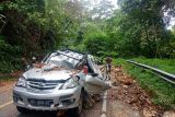 Seorang pengendara mobil tewas tertimpa pohon tumbang akibat angin kencang