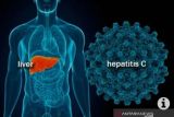 Dinkes Makassar ingatkan pentingnya PHBS terkait hepatitis akut misterius