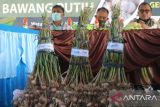 Kampung hortikultura di Poso  tingkatkan pendapatan petani Watumaeta