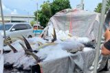 Tingkat kesejahteraan nelayan di Sulut membaik