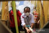 Kementan dorong Pemkab Poso  embangkan potensi kampung hortikultura