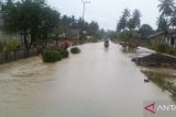 Sebanyak 3.570 warga terdampak banjir  di Desa Pinamula Kabupaten Buol