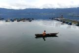 Dua kawasan di Danau Maninjau dijadikan lokasi konservasi ikan endemik