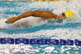 Jadwal SEA Games 202,: cabang Renang akan perebutkan enam emas pada 18 Mei