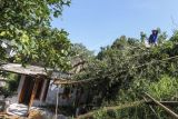 Warga melihat rumah yang tertimpa pohon akibat angin kencang di Bedahan, Depok, Jawa Barat, Senin (16/5/2022). Hujan deras disertai angin kencang yang terjadi pada Minggu (15/5) tersebut mengakibatkan pohon tumbang, sejumlah atap rumah dan restoran mengalami kerusakan. ANTARA FOTO/Asprilla Dwi Adha/rwa.