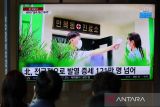 Korea Utara laporkan 79.100 orang lagi alami demam, satu kematian baru