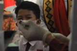 95 persen anak di Lampung ditargetkan diimunisasi