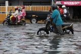 Seorang pengendara motor mendorong kendaraannya melintasi banjir rob di Jalan Kalianak, Surabaya, Jawa Timur,  Kamis (19/5/2022). Pasang air laut yang tinggi menyebabkan jalan tersebut tergenang banjir rob dan mengakibatkan kemacetan panjang. Antara Jatim/Didik Suhartono