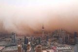 Badai pasir di Iran, lebih dari 1.000 orang dirawat di rumah sakit