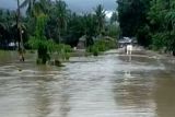 Banjir rendam trans-Sulawesi di Malunda Majene