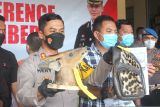Perajin Jember dipasok satwa langka Sumatera diawetkan, polisi baru tangkap satu pelakunya