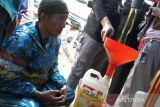 Bulog Sulawesi Tenggara gelar operasi pasar minyak goreng curah