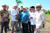 Komisaris Pusri temui petani perkebunan  dan pangan di Jember