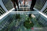Vietnam resmikan jembatan berlantai kaca dengan ketinggian 150 meter