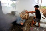 Pekerja membakar tempurung kelapa untuk pembuatan arang di Desa Deah Raya, Syiah Kuala, Banda Aceh, Aceh, Sabtu (28/5/2022). Limbah tempurung kelapa yang dikumpulkan dari beberapa kabupaten/kota seperti Kabupaten Pidie, Aceh Besar, Aceh Jaya, Sabang, dan Kota Banda Aceh tersebut dimanfaatkan untuk pembuatan arang yang dijual dengan harga Rp5.000 sampai Rp7.850 per kilogram melalui agen penampung di Sumatera Utara. ANTARA/Syifa Yulinnas