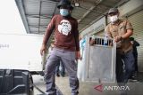 Seekor orang utan Sumatra (Pongo abelii) berada di dalam kandang saat tiba di terminal kargo Bandara Kualanamu, Deli Serdang, Sumatera Utara, Selasa (31/5/2022). Balai Besar Konservasi Sumberdaya Alam (BBKSDA) Sumatera Utara menerima satu individu anak orang utan sumatera (Pongo abelii) berjenis kelamin jantan yang beumur tiga tahun dari hasil penyerahan sukarela warga di Bogor, Jawa Barat. ANTARA FOTO/Fransisco Carolio