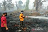 Pemadaman karhutla di Nagan  Raya Aceh terkendala sumber air
